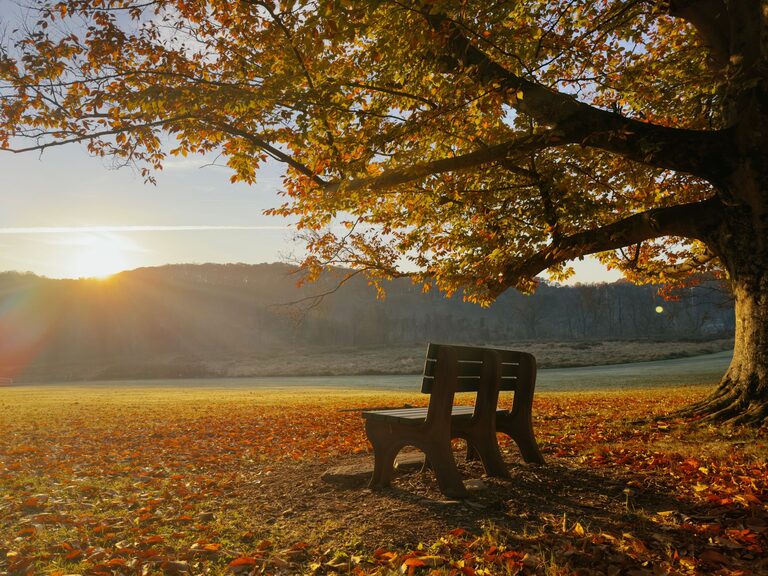 Mindful Breaks You Can Take in Five Minutes to Refresh Your Day